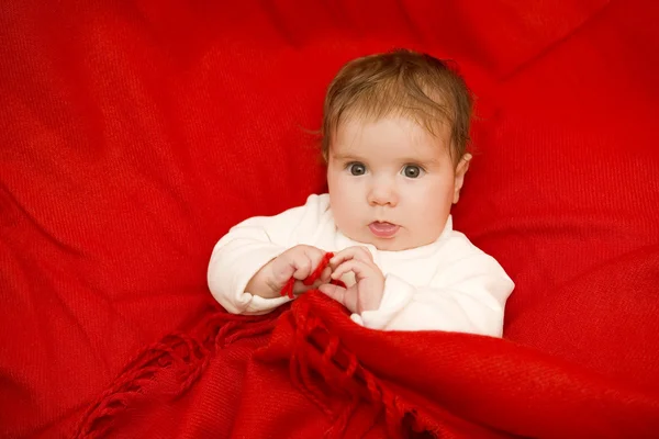 Young baby portrait — Stock Photo, Image