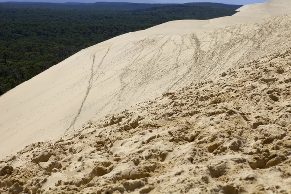 Dune of Pyla — Stock Photo, Image