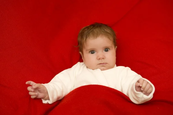 Young baby portrait — Stock Photo, Image