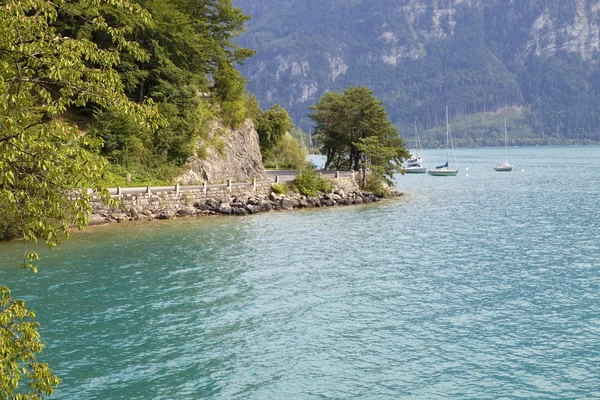 Lago svizzero — Foto Stock