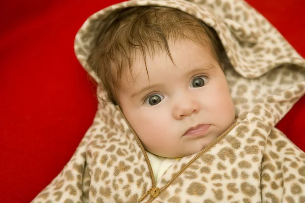 Young baby portrait — Stock Photo, Image