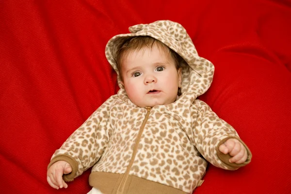 Young baby portrait — Stock Photo, Image