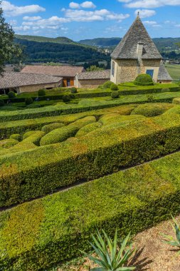 Dordogne, Fransa: Fransa 'nın Dordogne bölgesindeki Jardins de Marqueyssac bahçesinde tespih kuşu