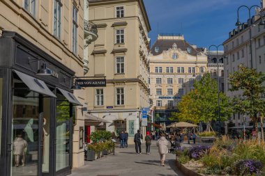 Viyana, Avusturya: Şehir merkezinde tarihi binalar, lüks dükkanlar ve sonbahar ağaçlarına sahip yaya caddesi