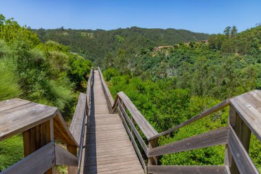 Figueiro dos Vinhos, Portekiz 'deki Fragas de Sao Simao' daki yemyeşil tepelerin arasından ahşap yol.