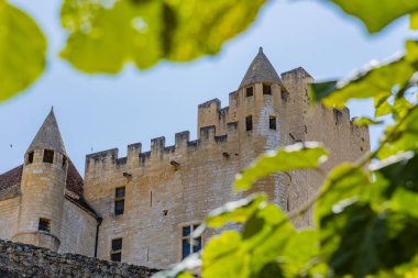 Beynac Şatosu, kayalık bir tepede tarihi bir kale, Fransa 'nın Beynac-et-Cazenac kentindeki ortaçağ mimarisi, kuleleri ve güçlendirilmiş duvarları var.