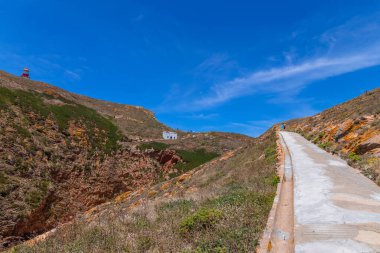 Berlenga Adası, Portekiz: Portekiz'deki Berlenga adasını ziyaret eden insanlar
