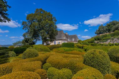 Dordogne, Fransa: Fransa 'nın Dordogne bölgesindeki Jardins de Marqueyssac bahçesinde tespih kuşu