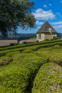 Dordogne, Fransa: Fransa 'nın Dordogne bölgesindeki Jardins de Marqueyssac bahçesinde tespih kuşu