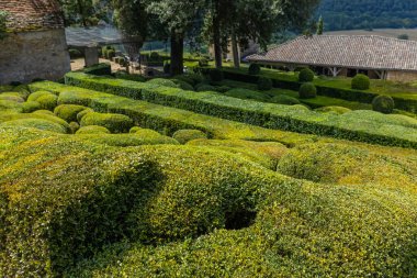 Dordogne, Fransa: Fransa 'nın Dordogne bölgesindeki Jardins de Marqueyssac bahçesinde tespih kuşu