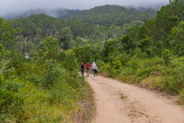 Galiçya, İspanya: İspanya 'nın kuzeyinde Camino de Santiago yapan gençler