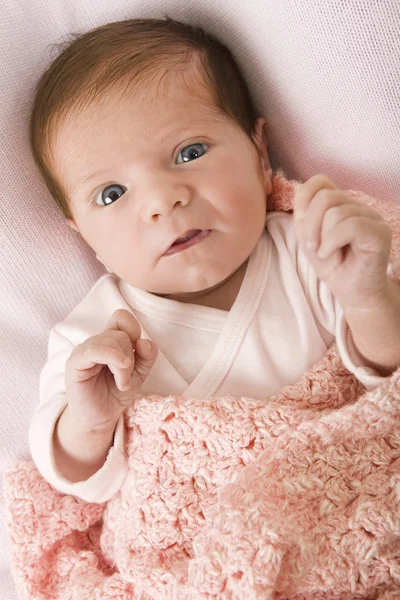 Babyportrett – stockfoto