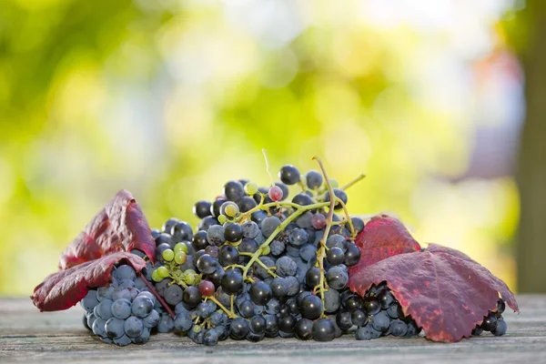 Trauben im Holztisch im Garten — Stockfoto