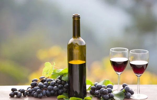 Botella de vino y uvas en mesa de madera al aire libre —  Fotos de Stock