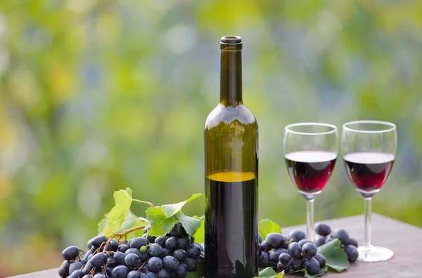 Garrafa de vinho e uvas na mesa de madeira ao ar livre — Fotografia de Stock