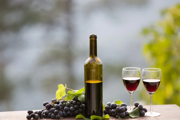 Botella de vino y uvas en mesa de madera al aire libre —  Fotos de Stock