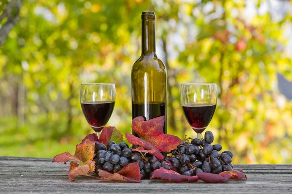 Garrafa de vinho e uvas na mesa de madeira ao ar livre — Fotografia de Stock