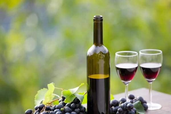 Garrafa de vinho e uvas na mesa de madeira ao ar livre — Fotografia de Stock