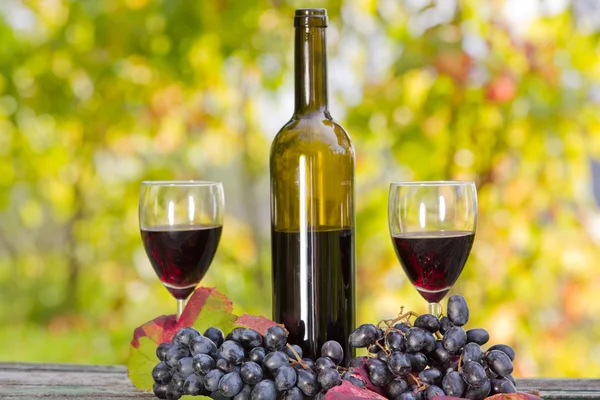 Botella de vino y uvas en mesa de madera al aire libre —  Fotos de Stock
