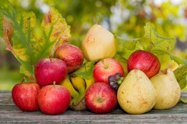 meyve bahçesinde açık ahşap tablo