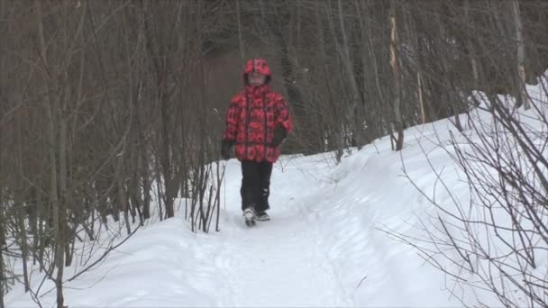Мальчик идет по тропинке в лесу — стоковое видео