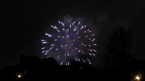 Het vakantie vuurwerk, gewijd aan de dag van de overwinning op mei, 9, 2016 — Stockvideo