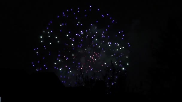 Das Feiertagsfeuerwerk, das dem Tag des Sieges am 9. Mai 2016 gewidmet ist — Stockvideo