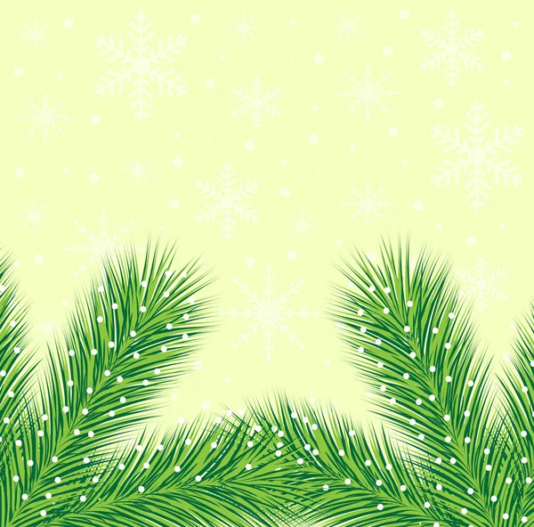 Fondo de Navidad con las ramitas de abeto — Vector de stock