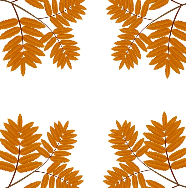 Background for a design with the autumn leaves of wild ash — Stock Vector
