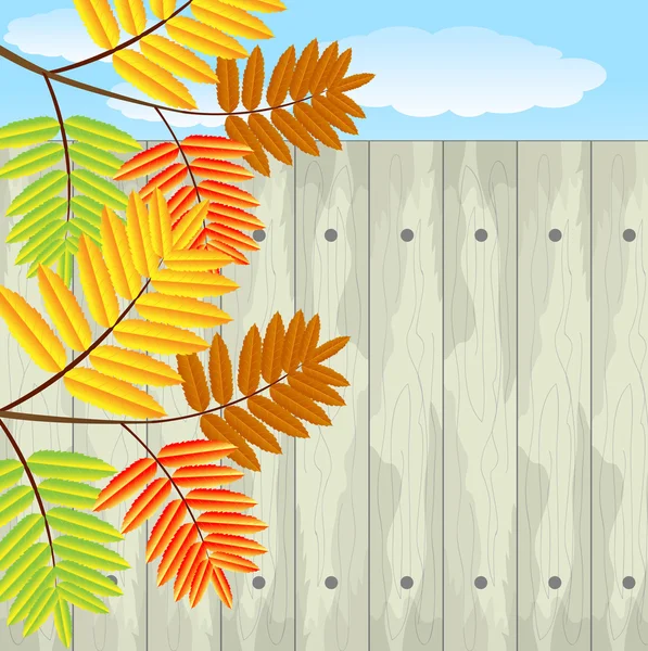 Background for a design with the autumn leaves of wild ash — Stock Vector