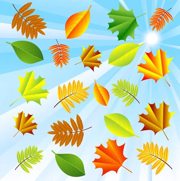 Background for a design with autumn leaves — Stock Vector