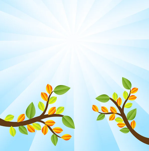 Zwei Zweige mit Herbstblättern auf einem Hintergrundhimmel — Stockvektor
