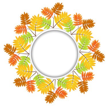 Sonbahar ile bir tasarım için arka plan vahşi kül bırakır