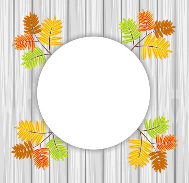 Sonbahar ile bir tasarım için arka plan vahşi kül bırakır