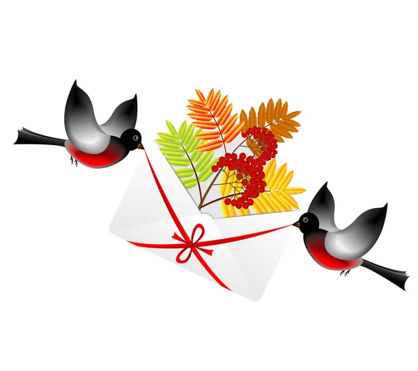 Bullfinchs portent une enveloppe avec la branche de frêne sauvage — Image vectorielle