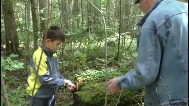 Grand-père avec petit-fils ramasser les champignons 