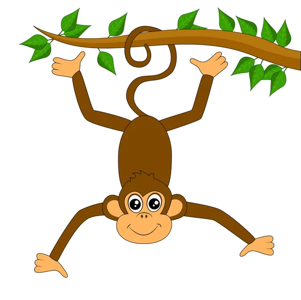 Macaco engraçado no fundo branco — Vetor de Stock
