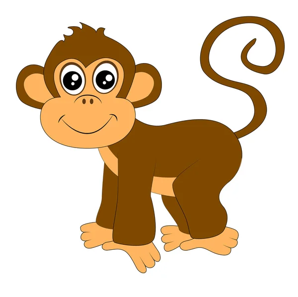 Beyaz zemin üzerinde komik maymun — Stok Vektör