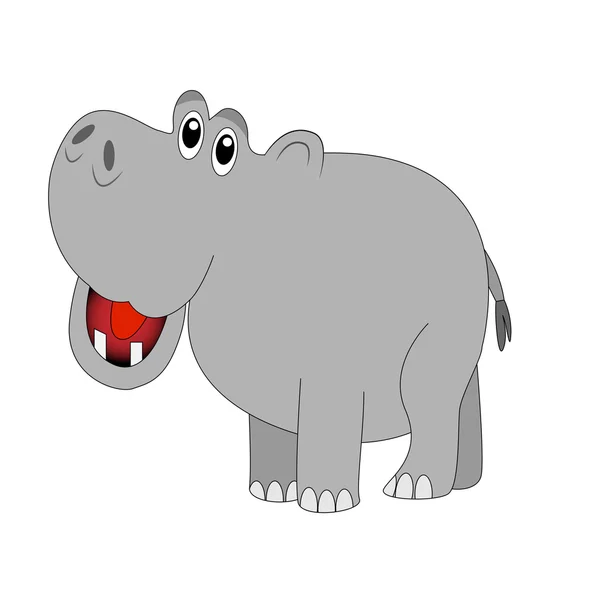 Funny hippopotamus on white background — Stock Vector