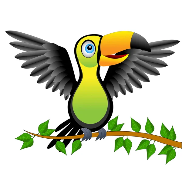 Toucan oiseau assis sur vetch — Image vectorielle