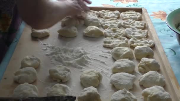 Mulher prepara massa de farinha para tortas — Vídeo de Stock