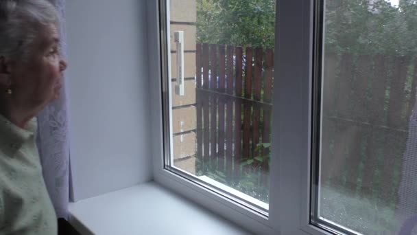 Woman looks out the window — Stock Footage Woman looks out the window Royalty Free Stock Footage