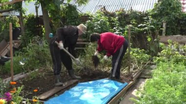 Evli çift bir patates kazmak