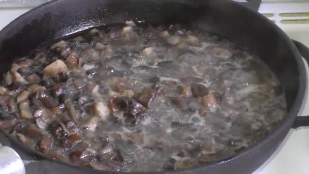 Sliced mushrooms fried in a pan — Stock Video