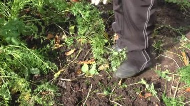 Kadın havuç temizler