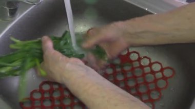 bir kase içinde yeşil soğan kadın yıkar