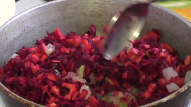 The woman fries vegetables in a frying pan — Stock Video