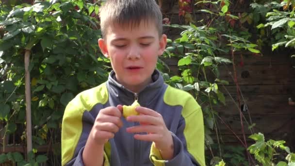 The woman cuts cabbage — Stock Video