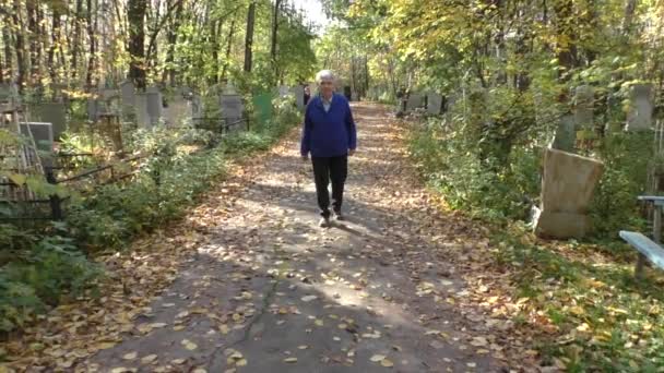 Пожилая женщина идет по осенней аллее — стоковое видео