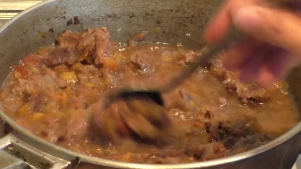 De vrouw bereidt zich voor op een goulash — Stockvideo